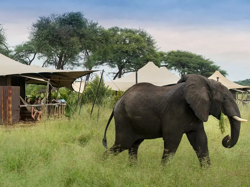 Hwange National Park