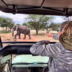 Hwange National Park