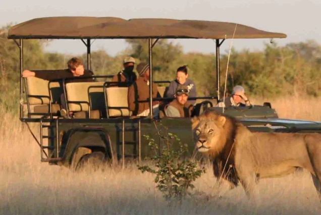 Hwange National Park Full Day Trip from Victoria Falls
