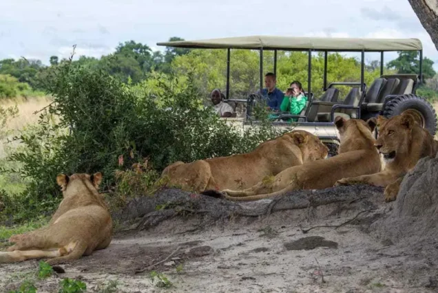 Chobe Day Trip