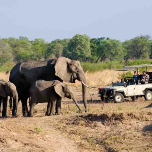 Hwange National Park