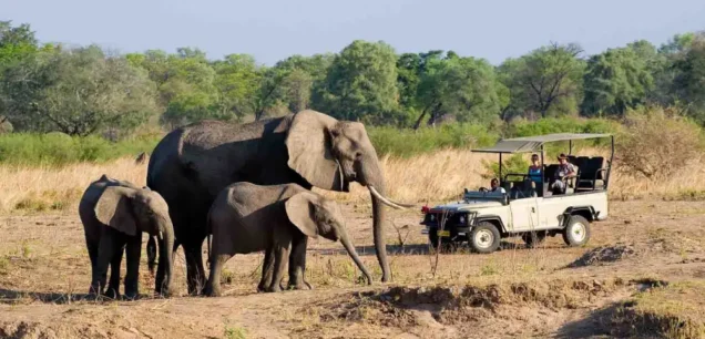 Hwange National Park