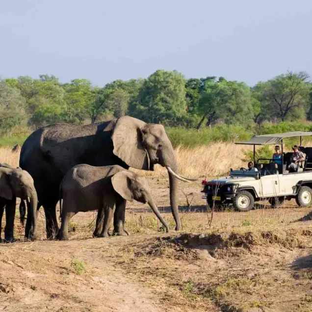 Hwange National Park