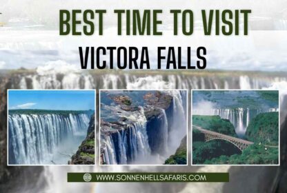 Best Time to Visit Victoria Falls – Seasons, Safari & Tips